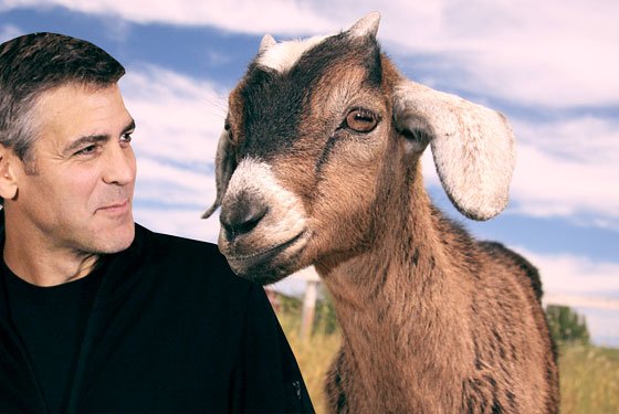 The men who stare at goats, el lado esotérico del Ejército estadounidense [trailer]
