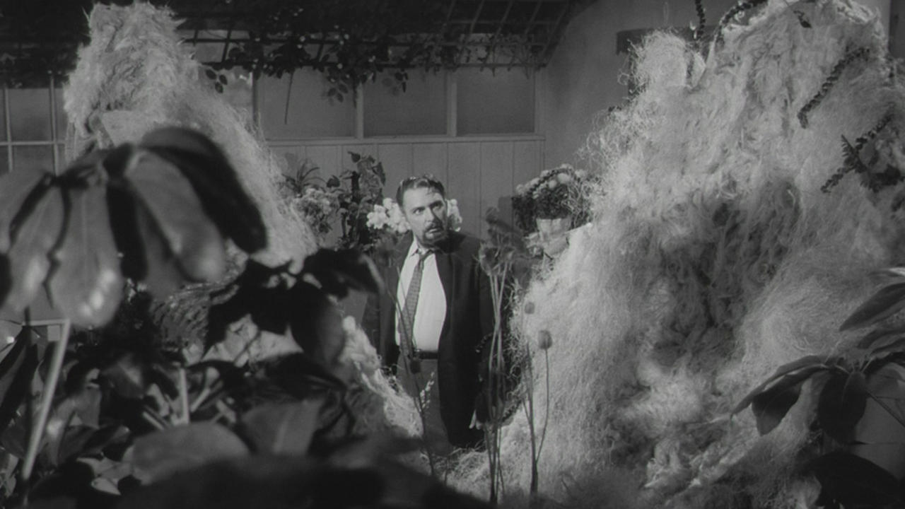 The Little Shop of Horrors, descarga obligada